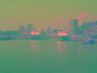 IMGP2603 edited (Medium)